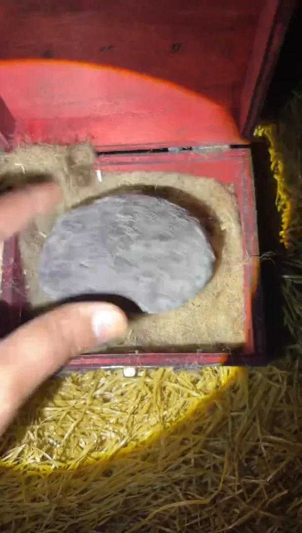 木琳专属哈哈哈哈哈哈哈哈哈哈哈