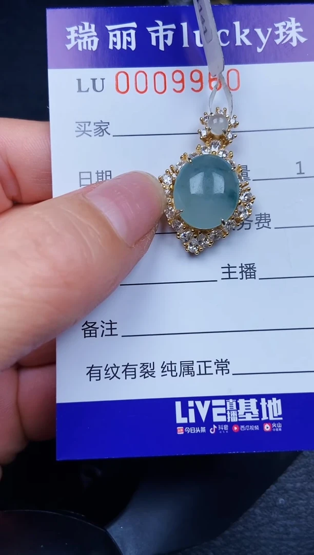 翡翠银S925镶嵌颈饰9960