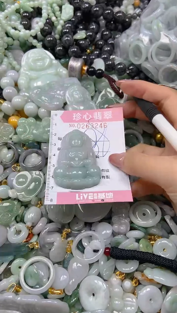 翡翠未镶嵌颈饰闪购0263246