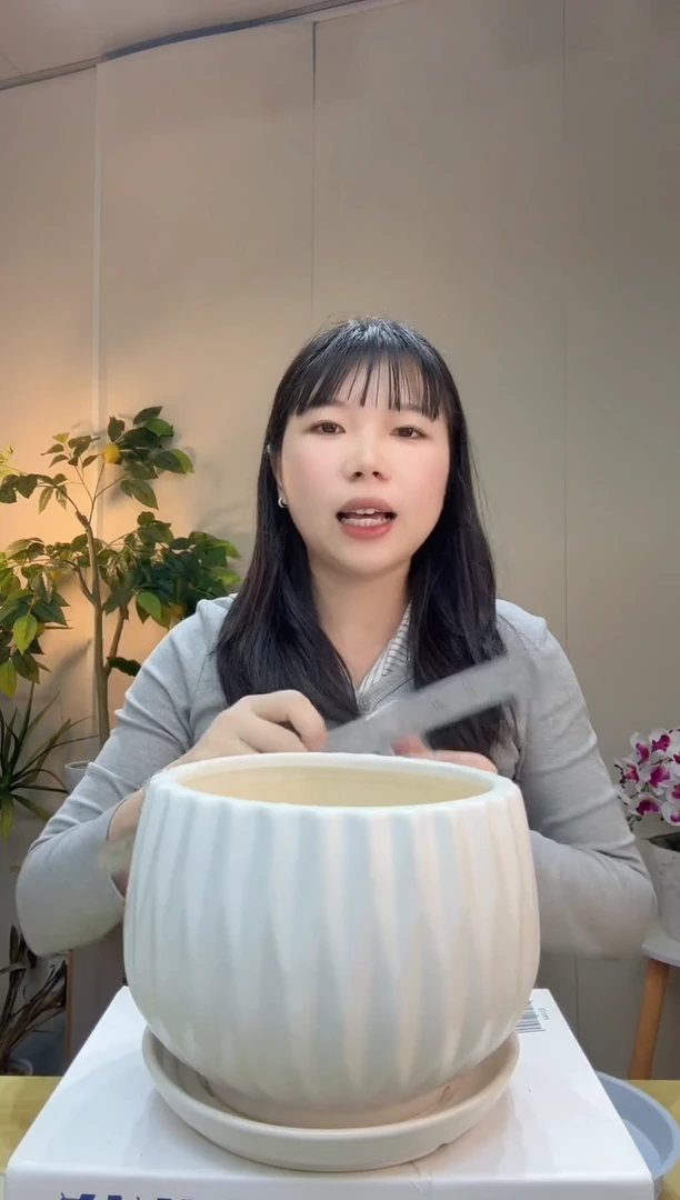 陶瓷花盆白色带陶瓷托盘