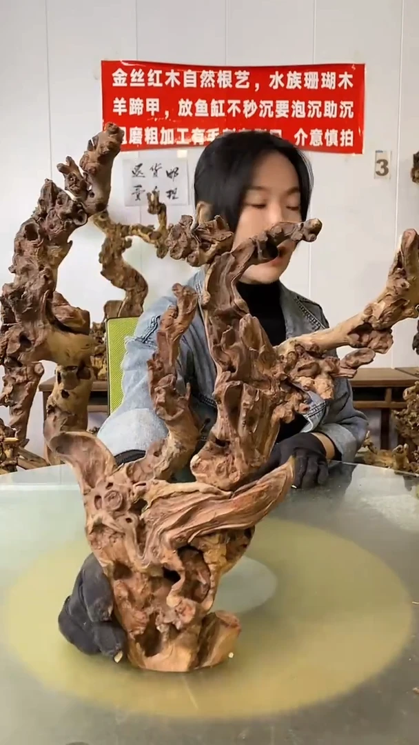 香榧木糊*金丝红木 羊蹄甲