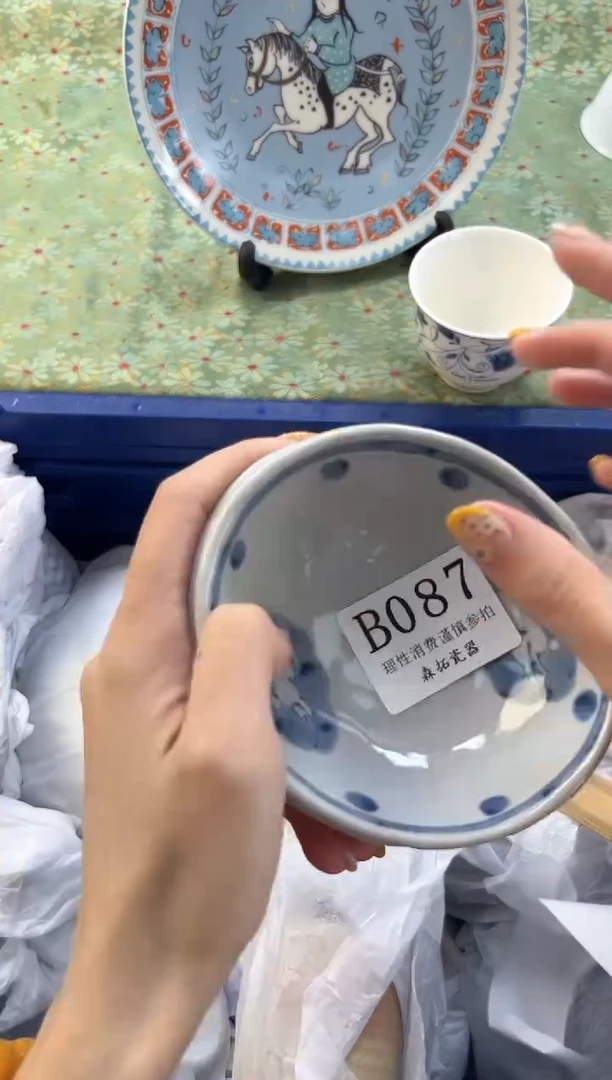【闪购商品】瓷片          B087