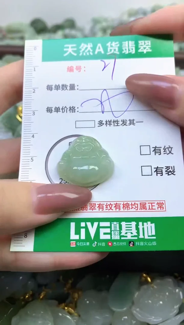 颈饰未镶嵌翡翠纯天然缅甸A货翡翠