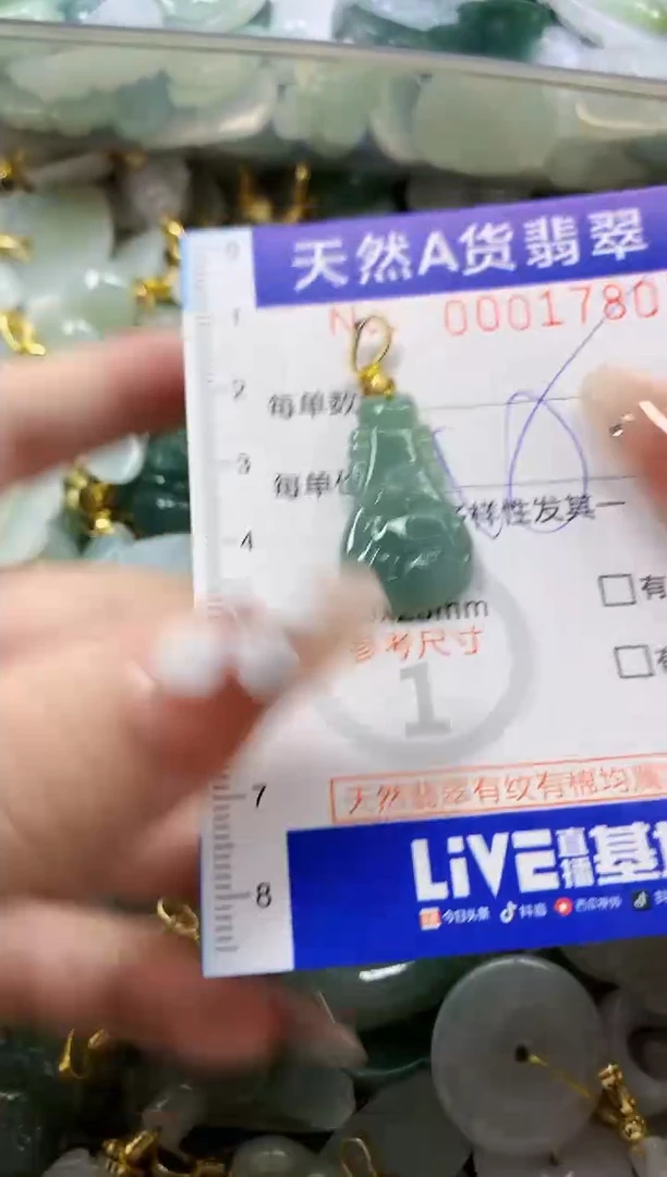 颈饰未镶嵌翡翠天然A货翡翠