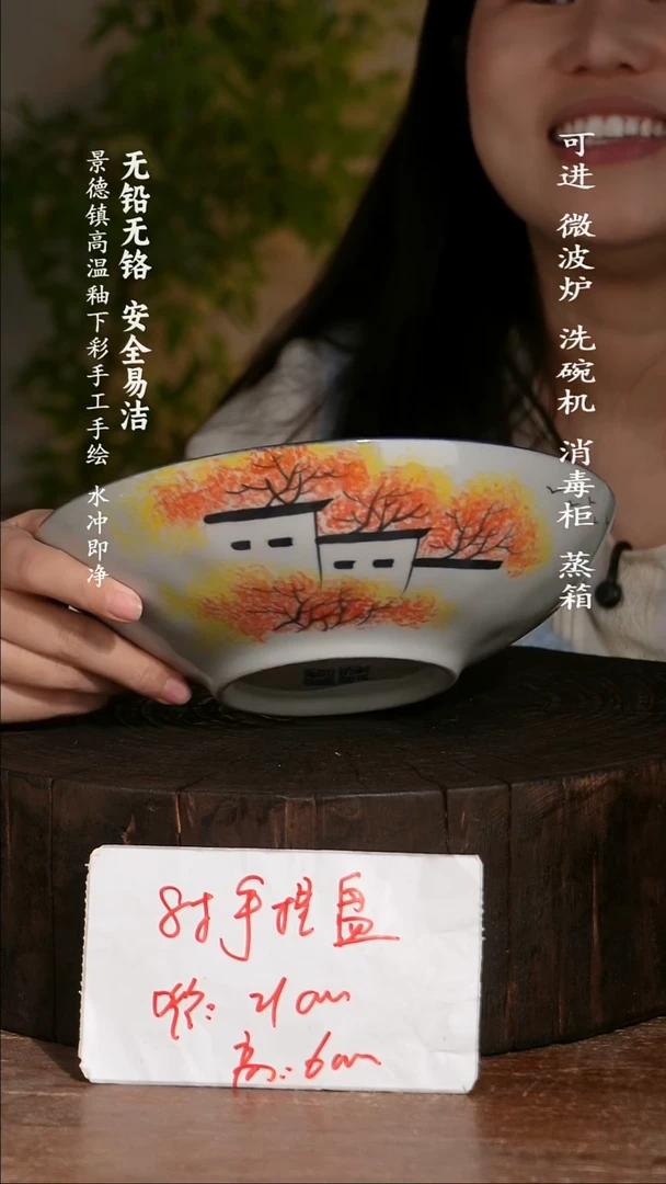碗陶瓷景德镇高温瓷釉下彩手绘陶瓷
