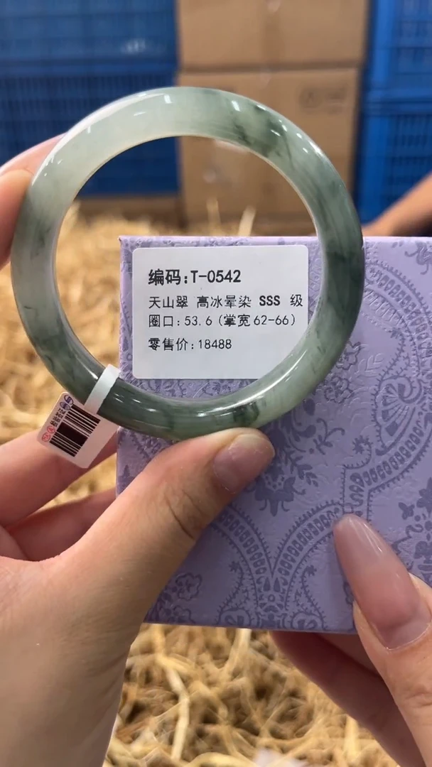 未镶嵌手镯石英质玉T0542