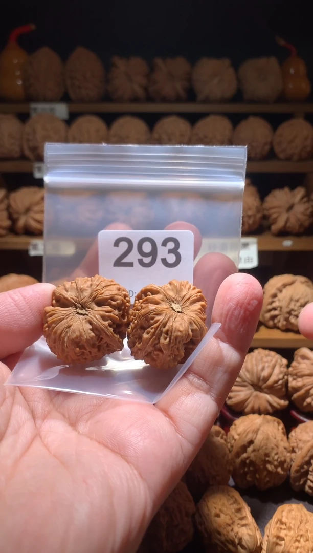 核桃32尺龙珠，别打底，影响二次销售不退不换