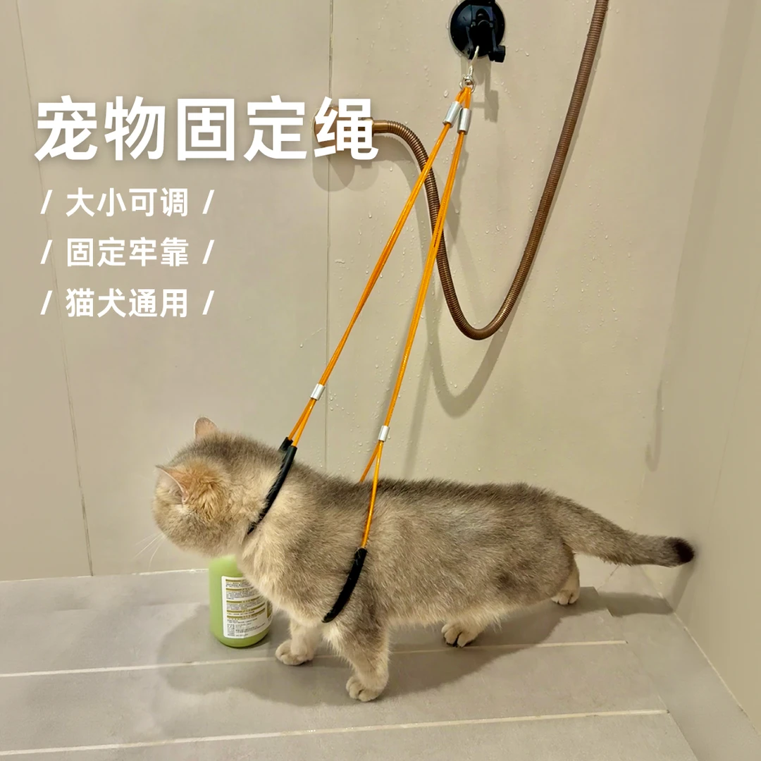 宠物洗澡固定器猫咪防挣脱固定绳狗狗美容台吊绳家用猫保定绳吸盘