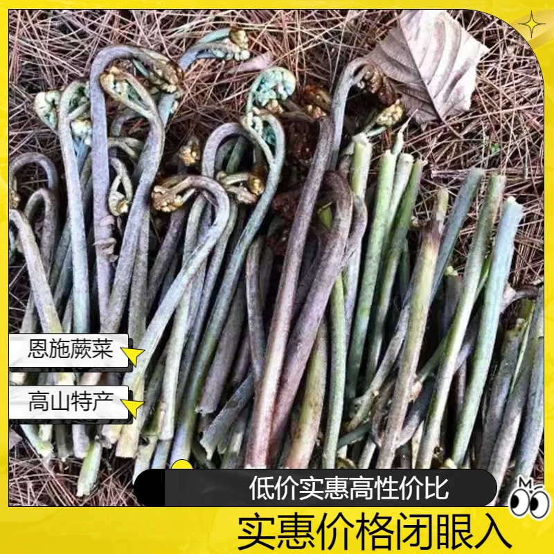 恩施高山农家 蕨菜 恩施山妹代购农产品