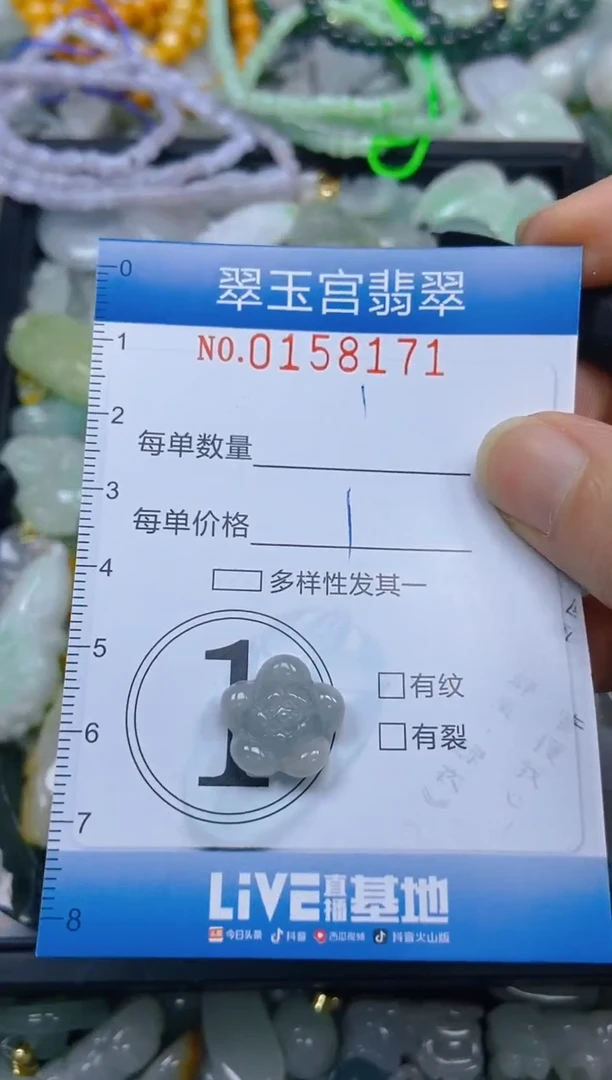 翡翠未镶嵌颈饰闪购0158171