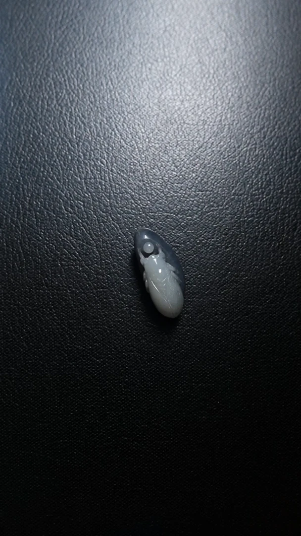 颈饰未镶嵌和田玉一鸣惊人