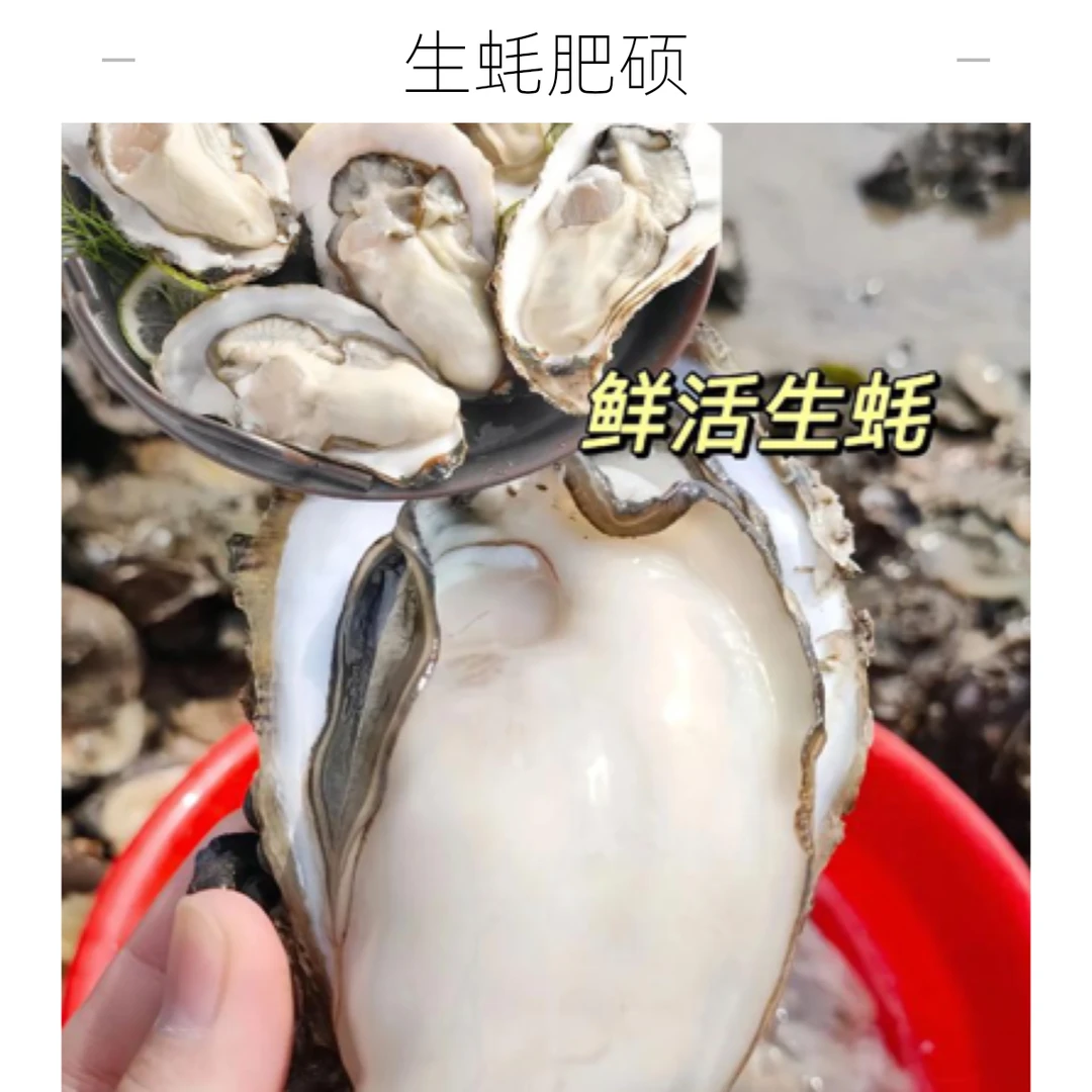 精品生蚝，各个包肥，拍3斤，发5斤。可免费加工