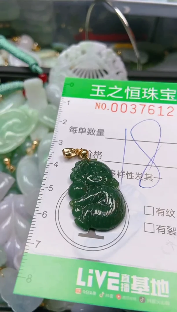 【闪购商品】翡翠颈饰未镶嵌闪购0037612