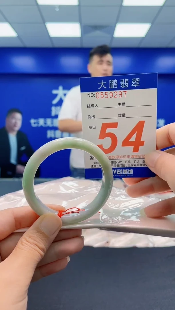 未镶嵌手镯翡翠AAAAAAAAA