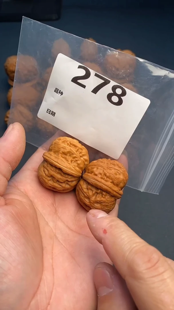 【闪购商品】文玩核桃吊坠278号41尺寸全品元宝