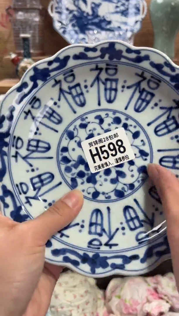 瓷片兰*       H598