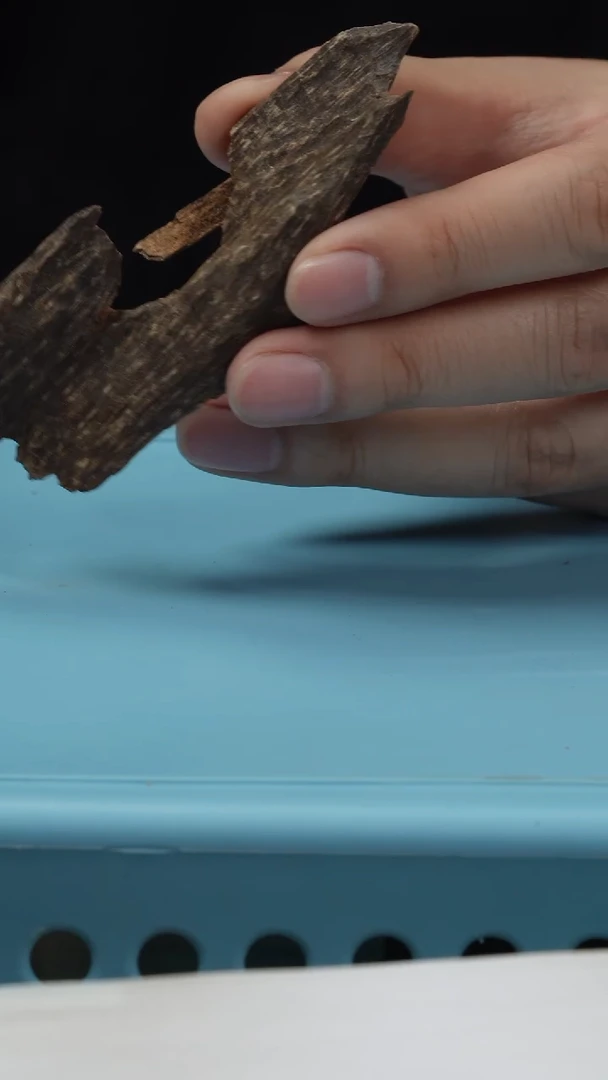 沉香沉香碎屑1201越树心虫漏料，重5.4克