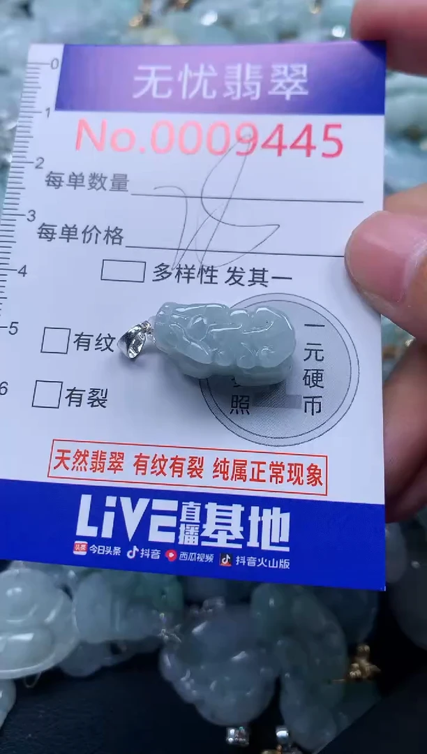 颈饰未镶嵌翡翠9445