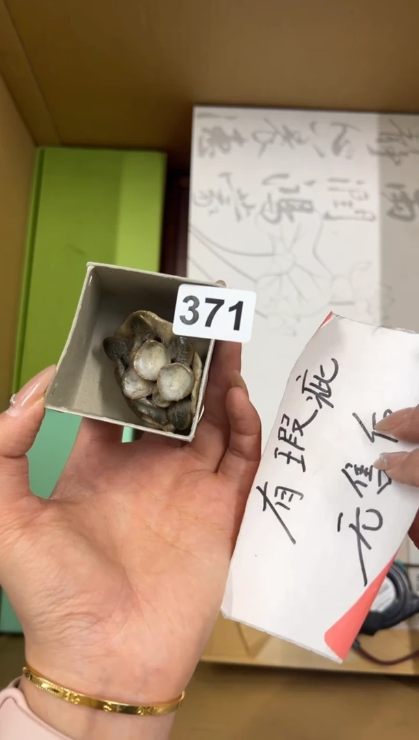 【闪购商品】瓷片371中古商品谨慎参拍