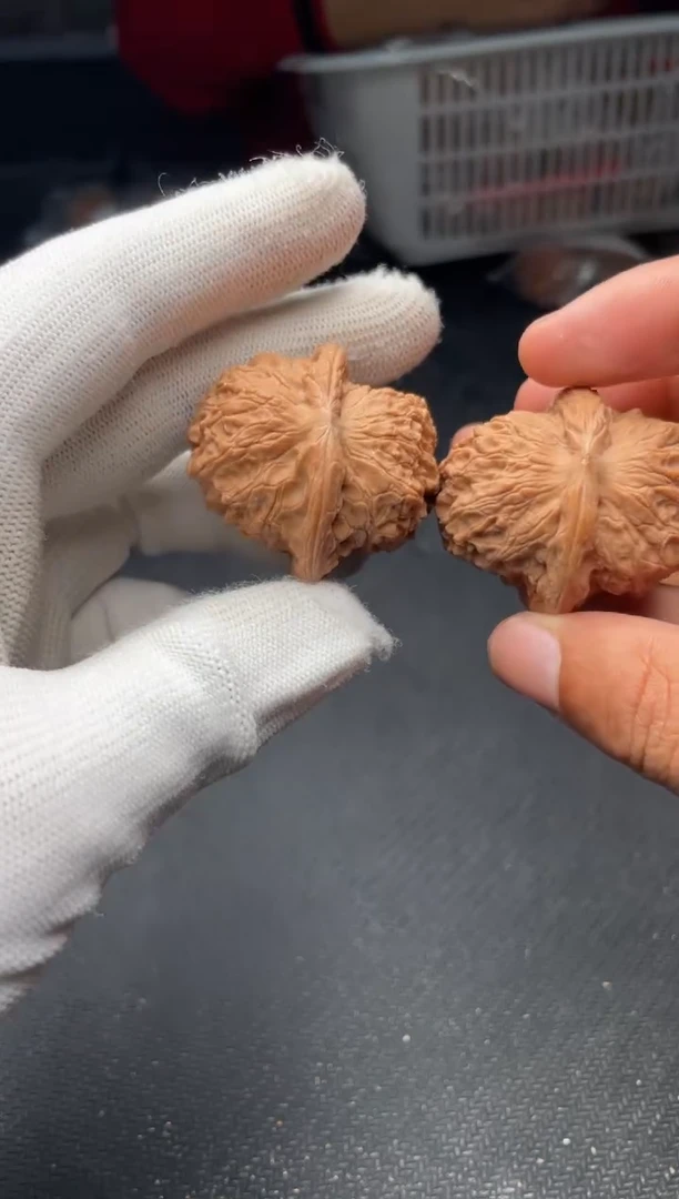 核桃a278   血麒麟