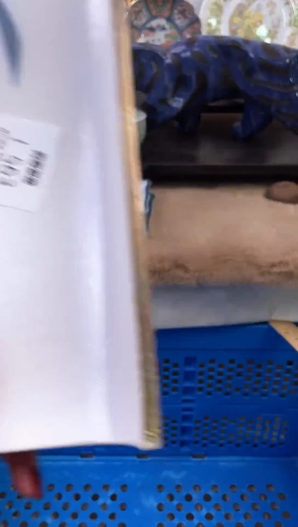 【闪购商品】瓷片563新号开播下单就包邮！！！