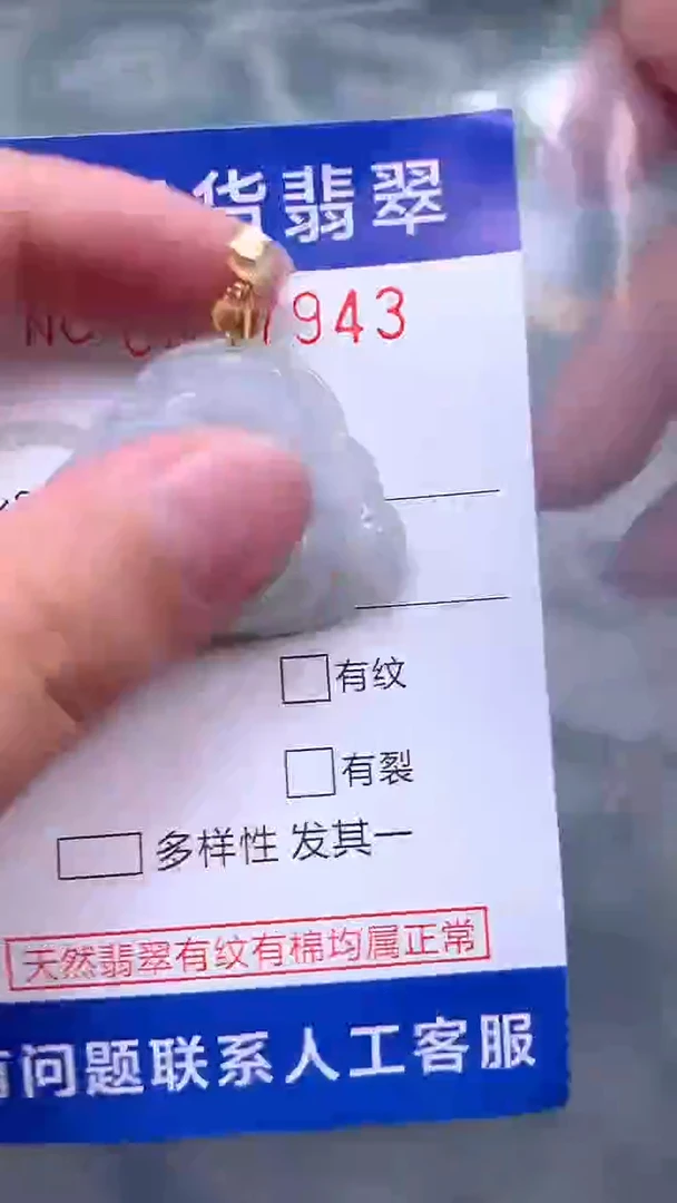 吊坠(赠链)未镶嵌翡翠1