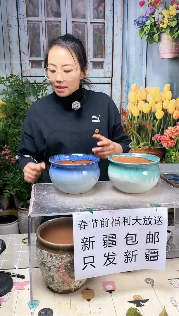 【闪购商品】红陶蓝绿圆口陶盆两个装