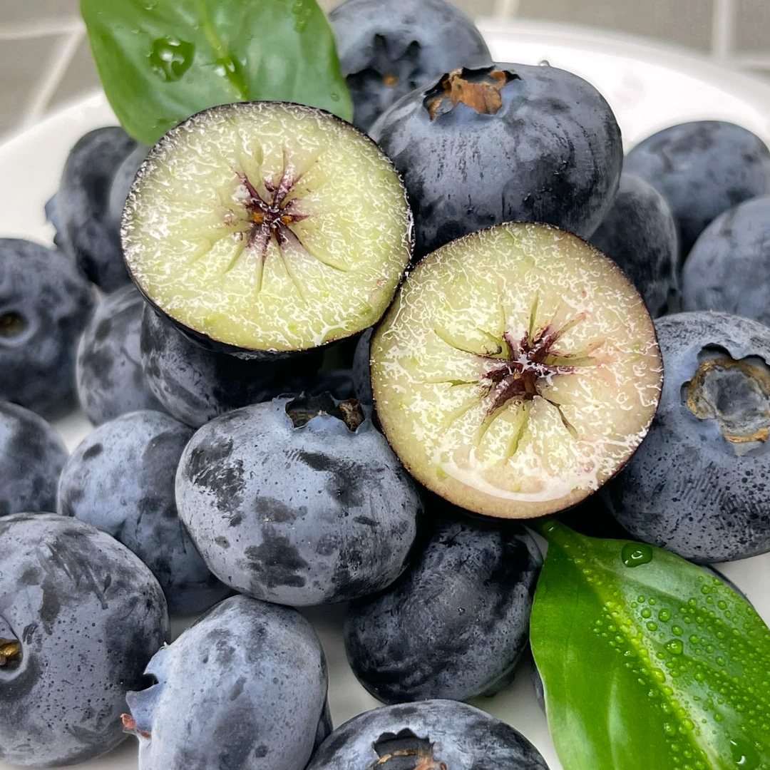 【直播浮力】22mm+云南高山蓝莓新鲜花青素125g/盒 顺丰包邮