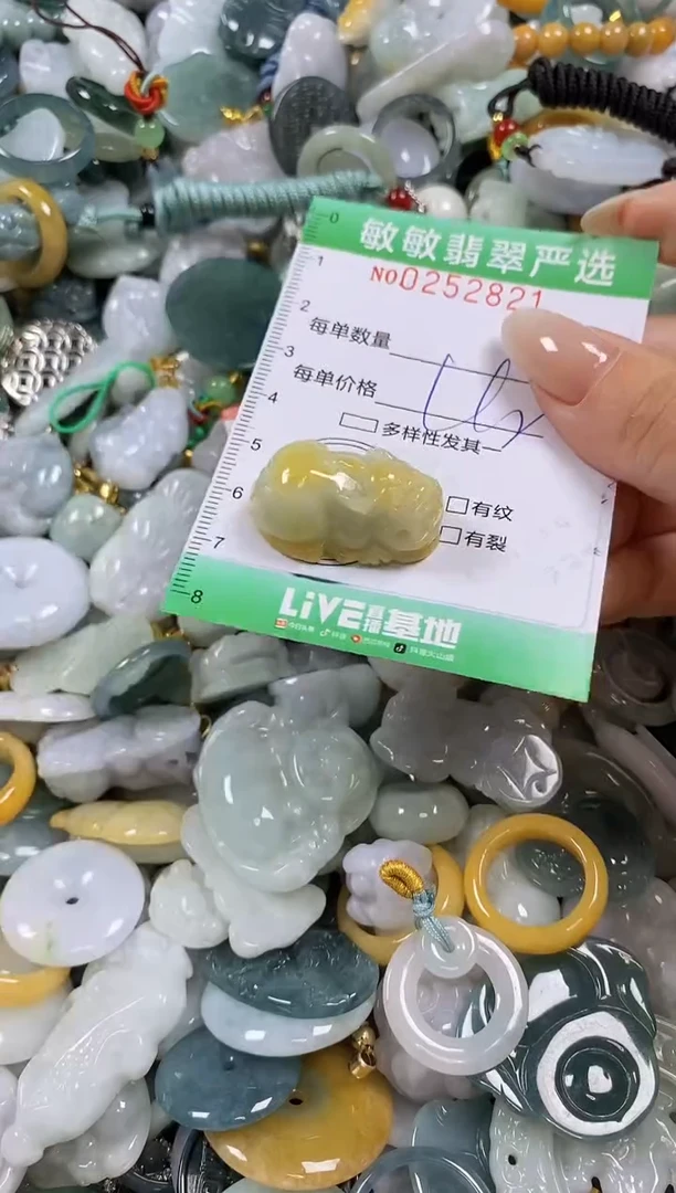 翡翠未镶嵌颈饰闪购0252821