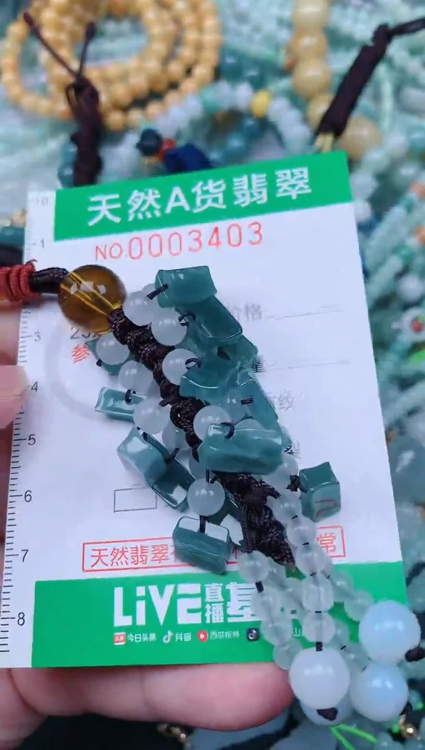 翡翠未镶嵌颈饰.0003403