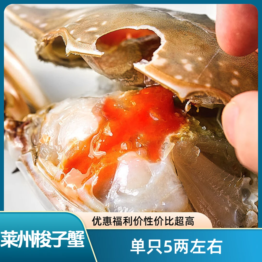【母蟹】【保鲜不保活】4-6两/只2斤满肉全黄母蟹 满黄母蟹  残蟹