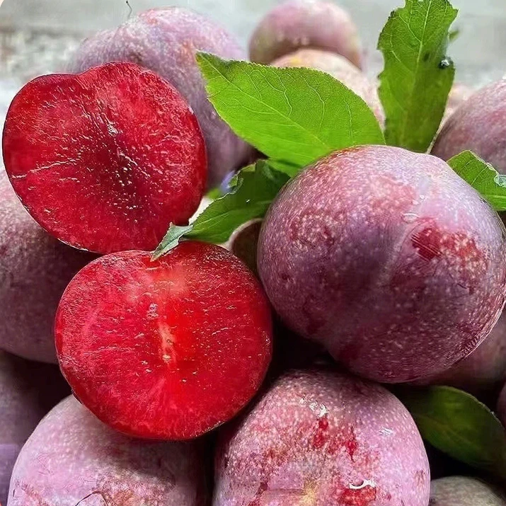 十年老树高山果三华李新鲜水果红心李子 多仓发货