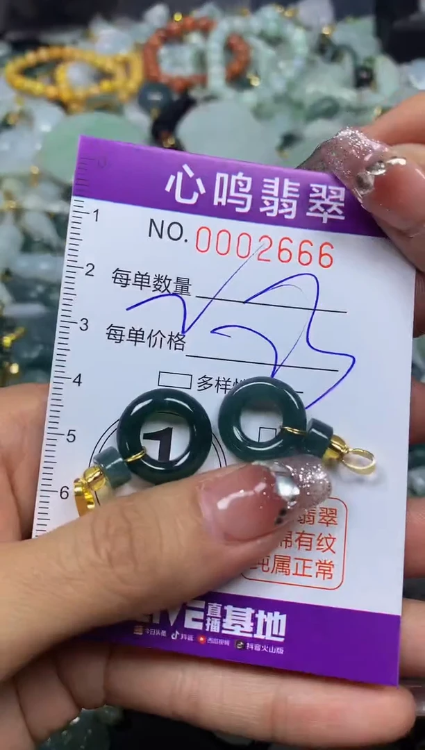 【闪购商品】翡翠颈饰未镶嵌闪购002666