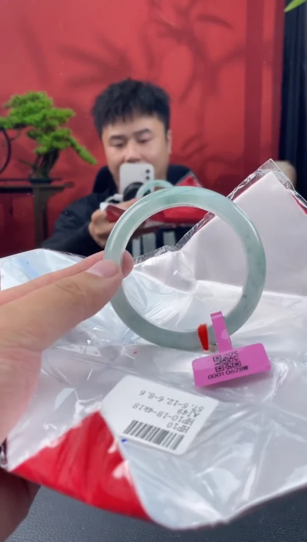 未镶嵌手镯翡翠5