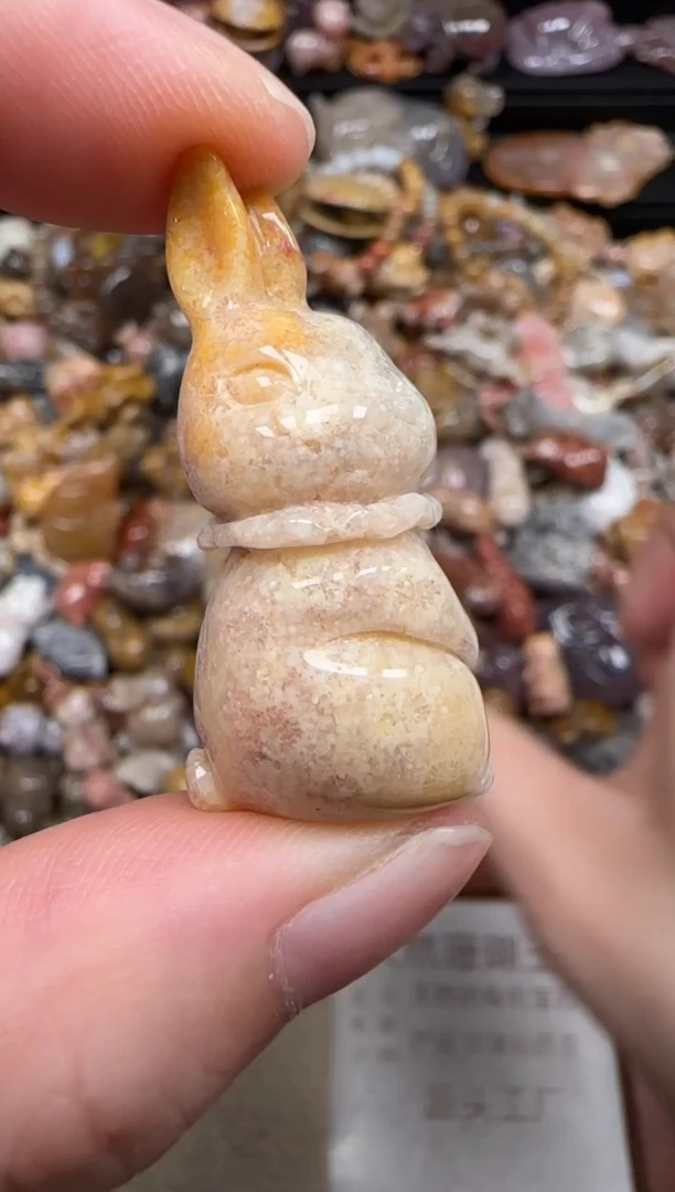硅化珊瑚（珊瑚玉）未镶嵌颈饰047