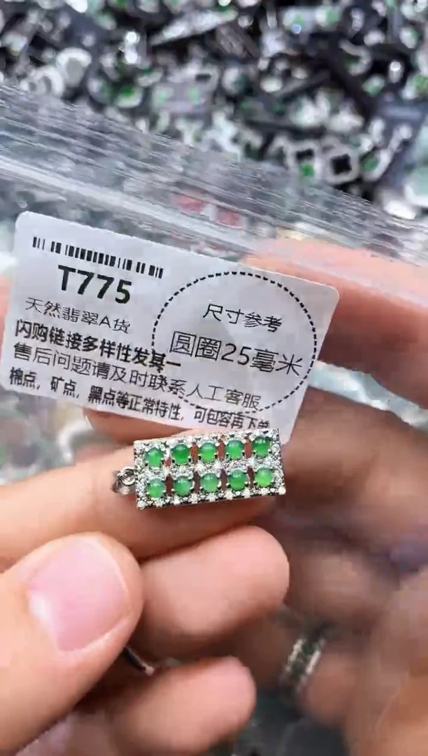 翡翠未镶嵌颈饰T775吊坠