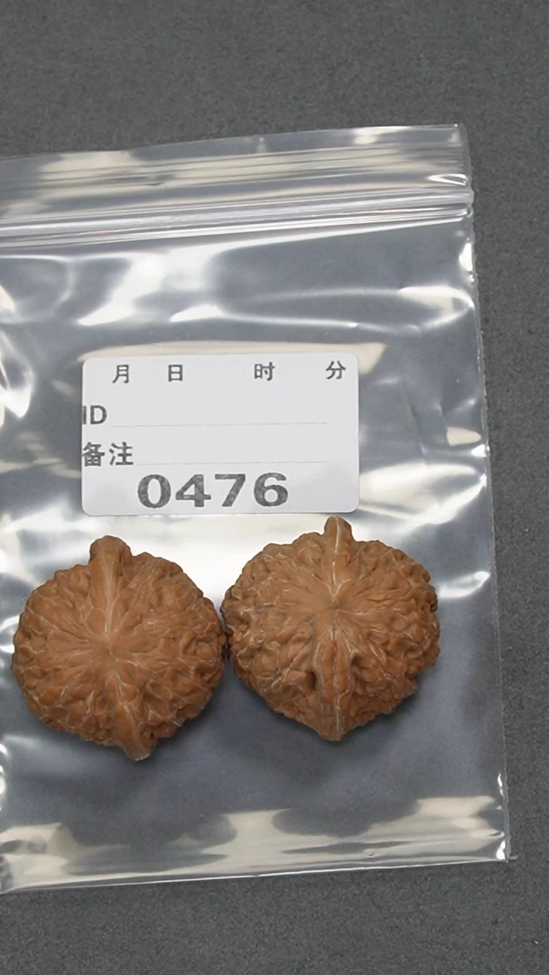 【闪购商品】文玩核桃把件39铁锤