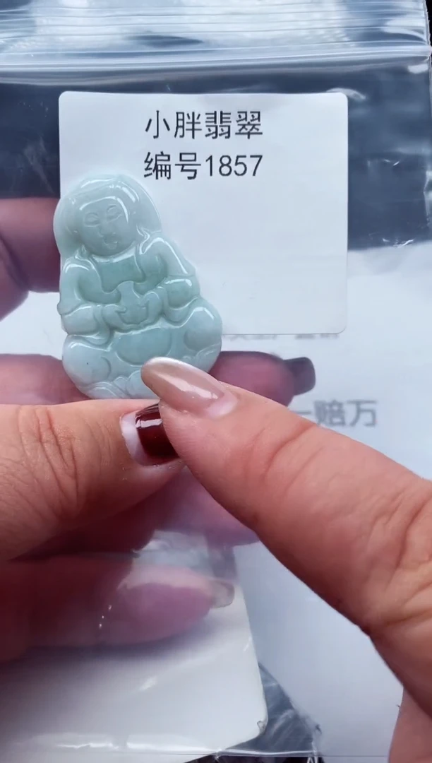 颈饰未镶嵌翡翠缅甸天然A货翡翠1857