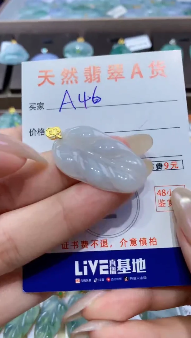 颈饰未镶嵌翡翠天然翡翠A货挂件