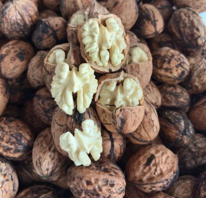 老树核桃 高山老树原味核桃