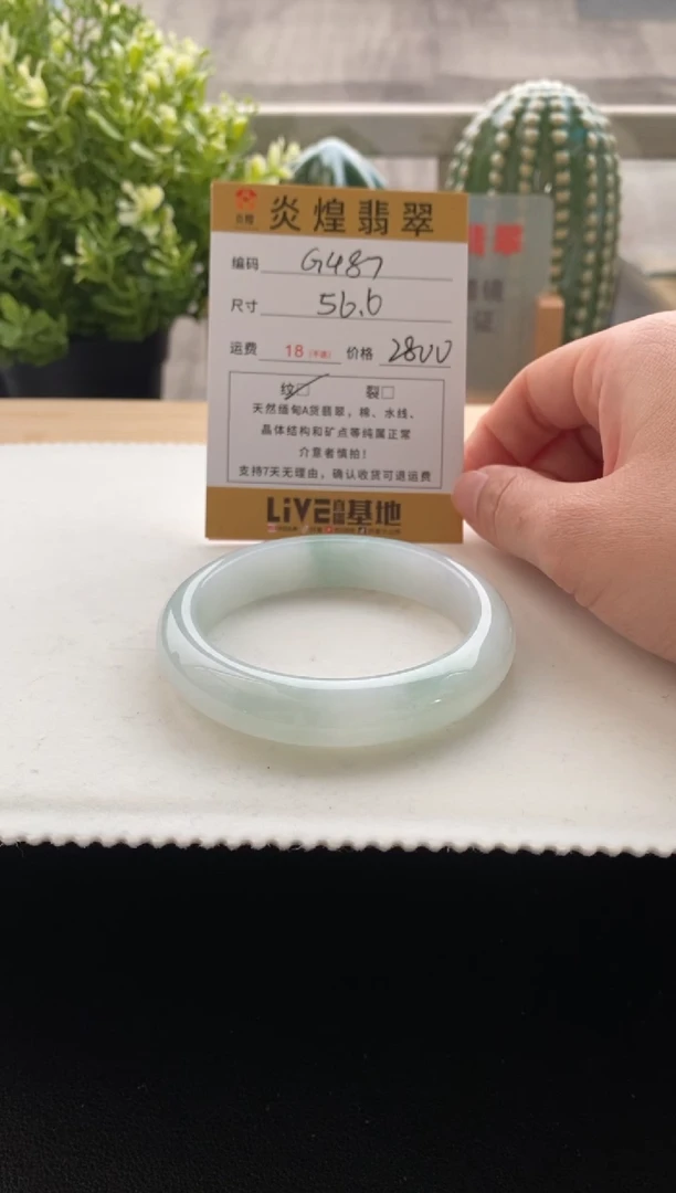未镶嵌手镯翡翠56.6圈口 编码G487