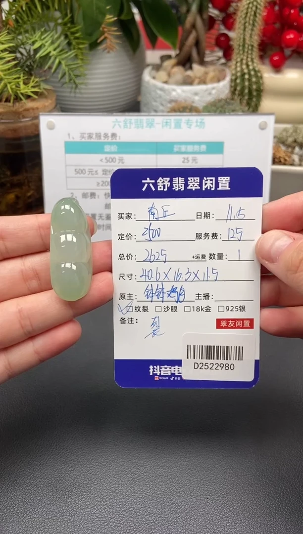 颈饰未镶嵌翡翠南*?D2522980