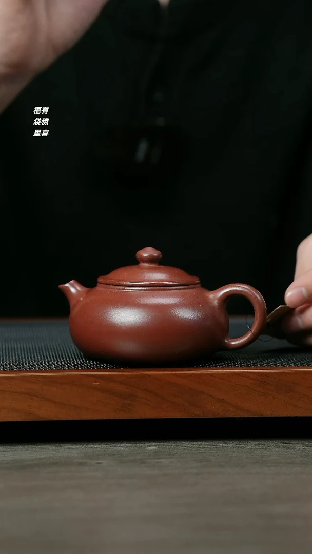 【闪购商品】紫砂茶壶H1326李传荣紫泥寒江