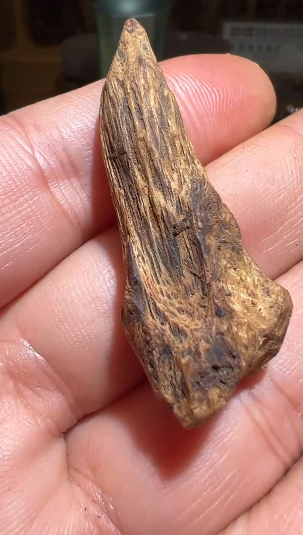 沉香沉香碎屑莱特2.3克