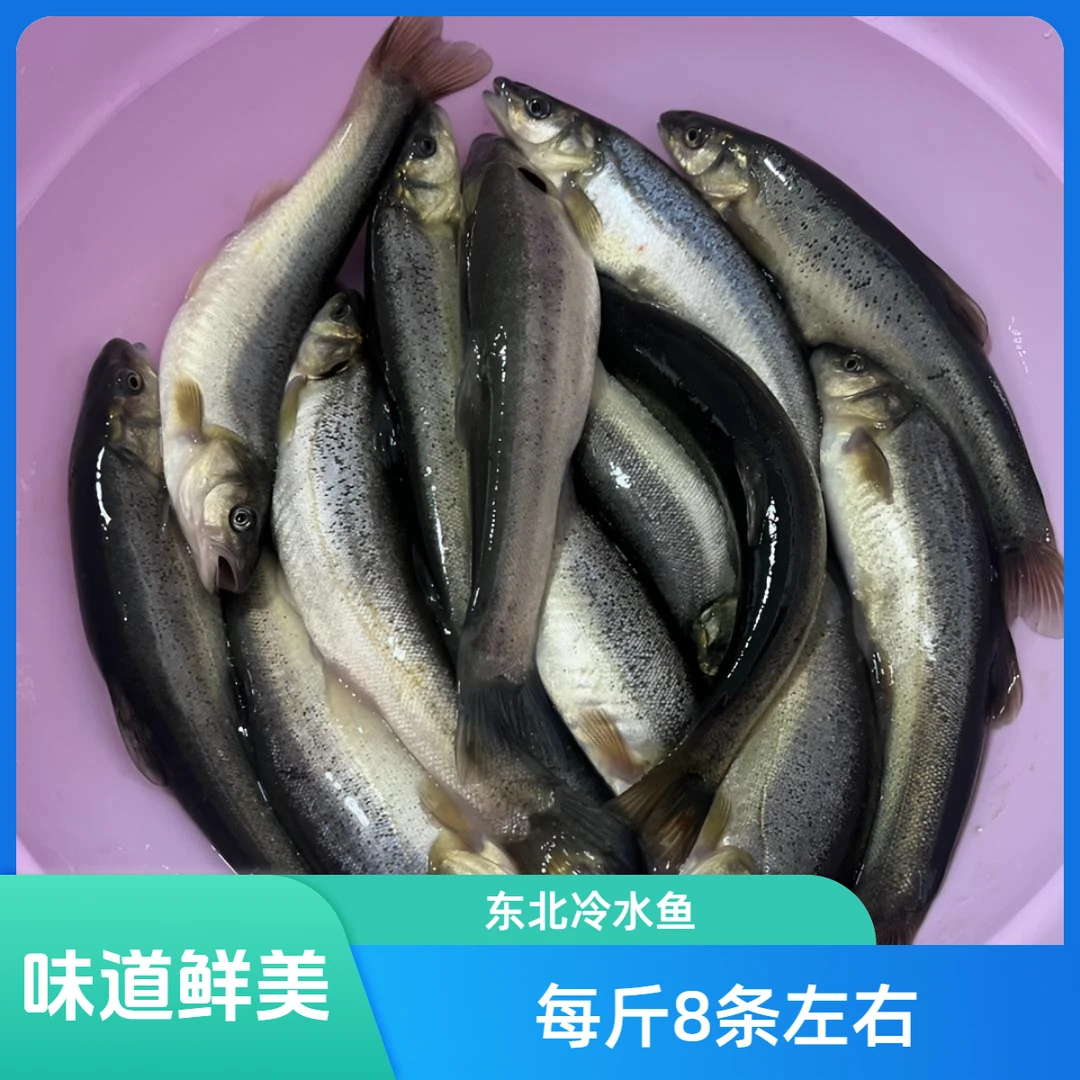 东北冷水柳根鱼3斤每斤8条左右(顺丰或EMS空运包邮）