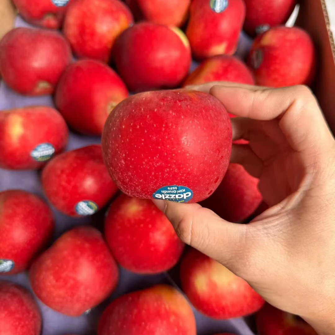 红佳丽小苹果 4个 一斤半新西兰小苹果新西兰