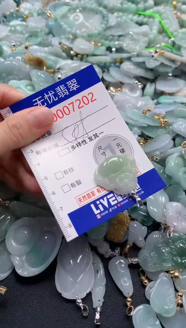 颈饰未镶嵌翡翠7202