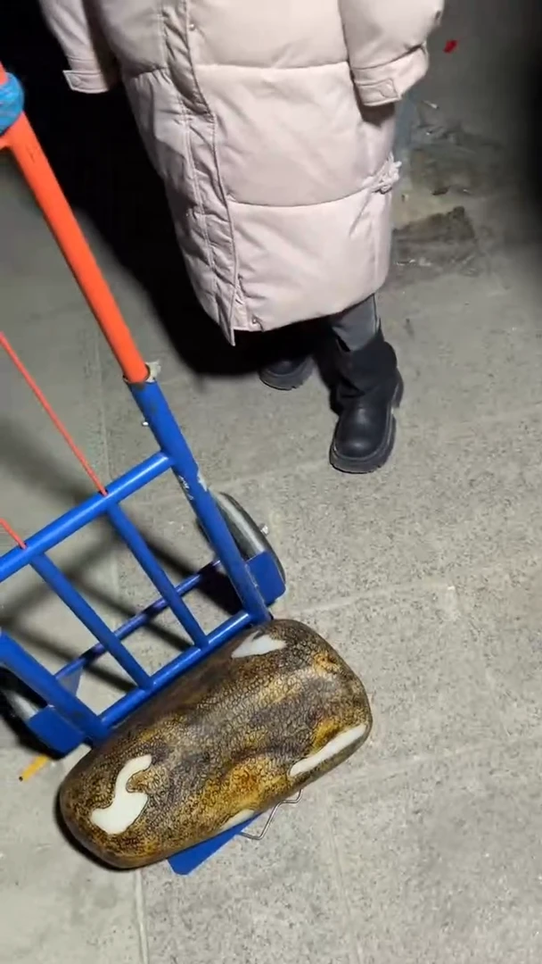 未镶嵌和田玉挂件7