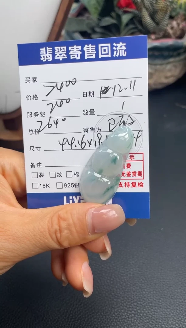 颈饰未镶嵌翡翠10151691