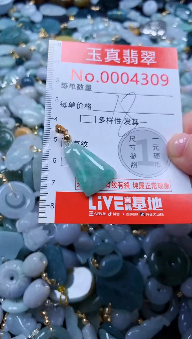 翡翠未镶嵌吊坠(不含链)4309